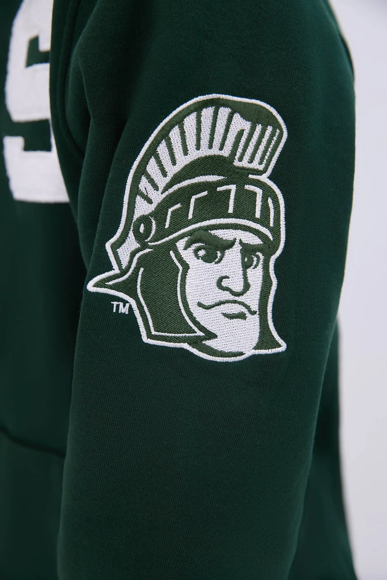 Michigan State Graphic Hoodie