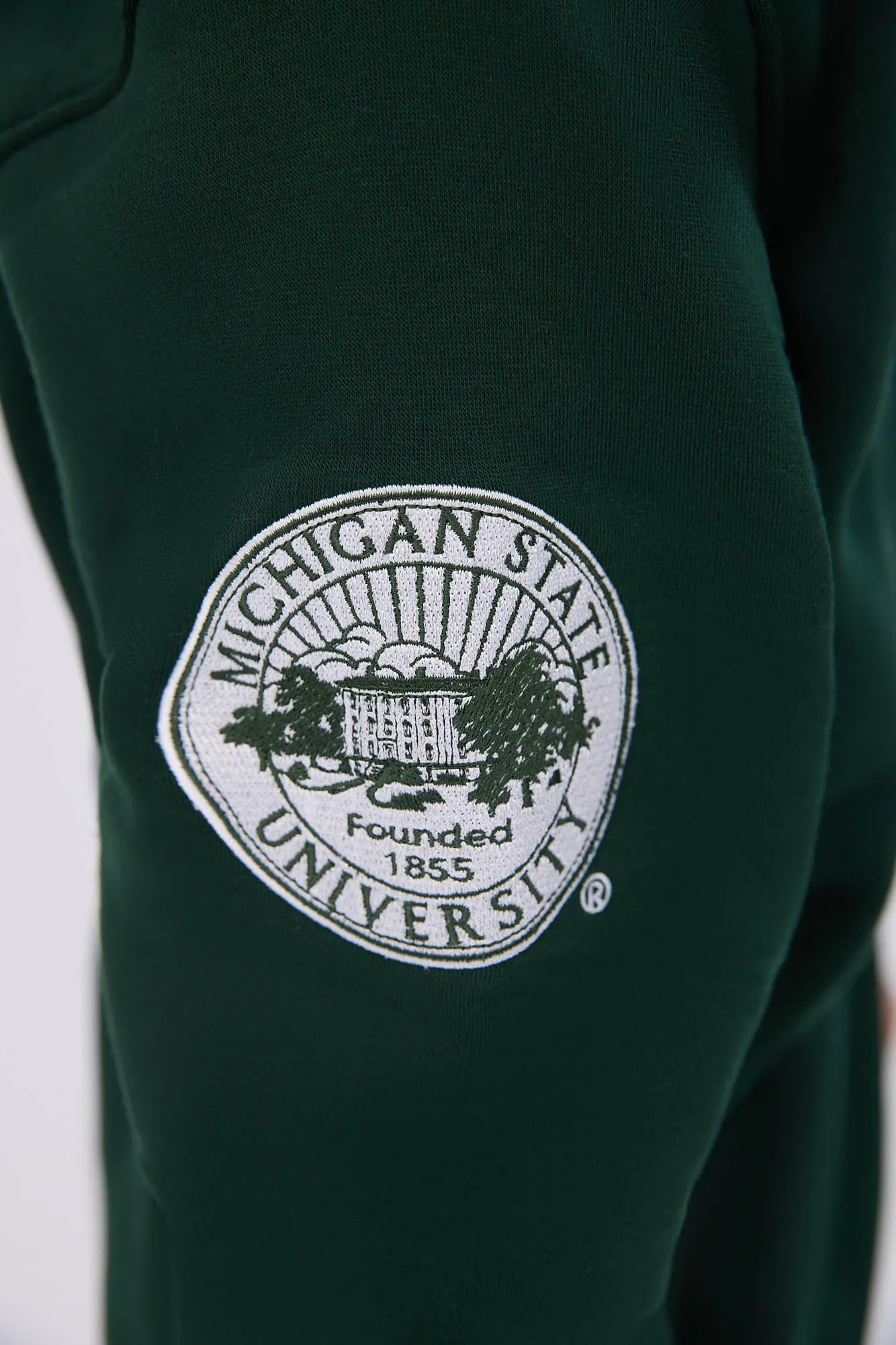 Michigan State Graphic Hoodie